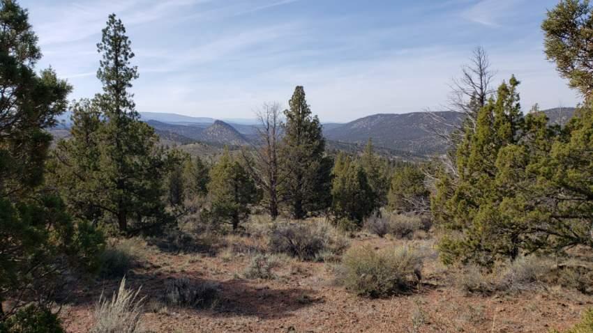 280-acres Southeast 280-acres Se Reed Road Prineville, OR 97754 - Photo 1 of 18 thumbnail_Resized_20191012_113945