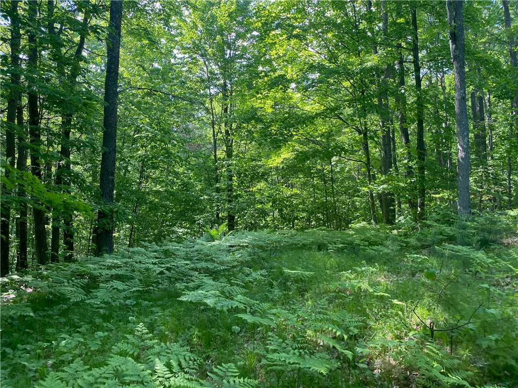 Lot 7 Secluded Trail Hayward, WI 54843 - Photo 12 of 41