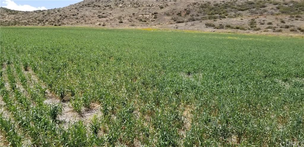 0 Sherman Road Menifee, CA 92584 - Photo 1 of 1 a view of a field of grass and trees