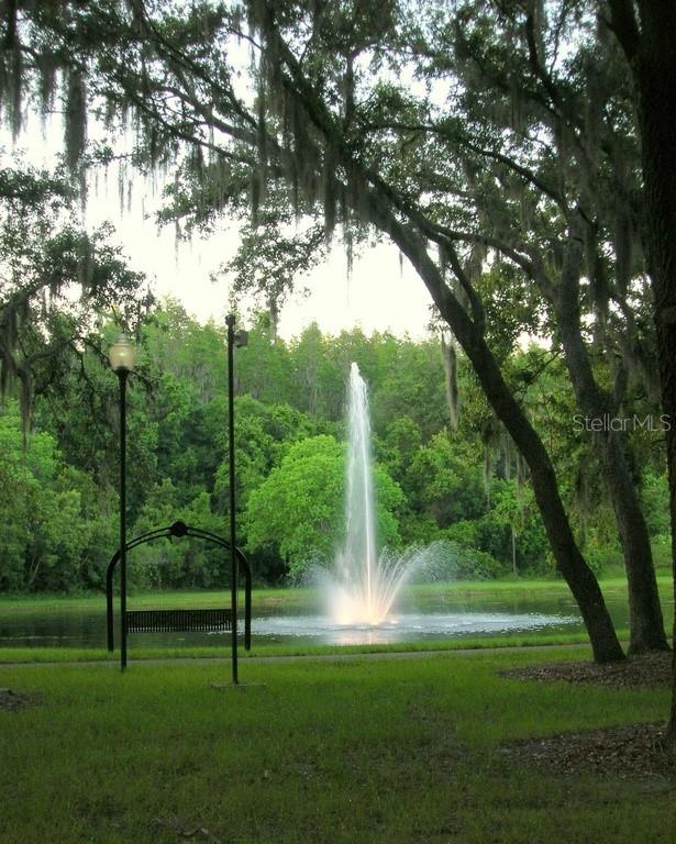 5100 Burchette Road, Unit 3802 Tampa, FL 33647 - Photo 3 of 60 Gallery Image 3