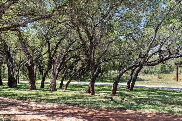a backyard of a house