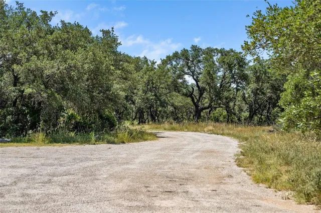 a view of a yard with plants and trees