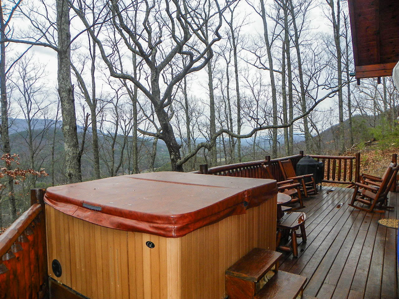 3524 Carsons Ridge Way Sevierville, TN 37862 - Photo 20 of 35 102_7770