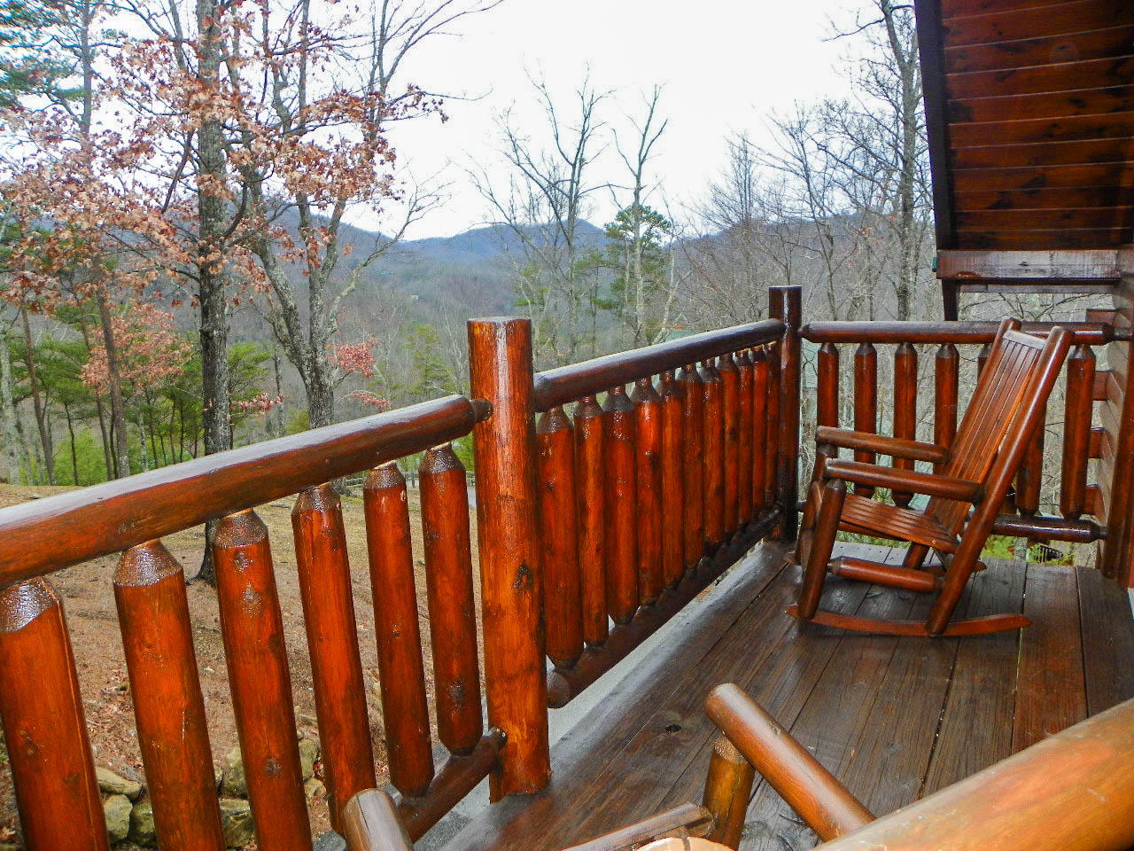3524 Carsons Ridge Way Sevierville, TN 37862 - Photo 21 of 35 102_7747