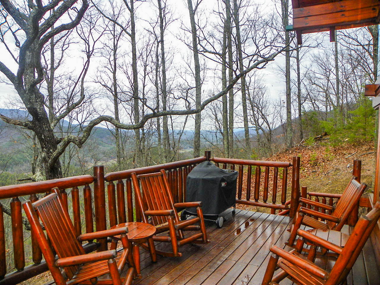 3524 Carsons Ridge Way Sevierville, TN 37862 - Photo 22 of 35 102_7772