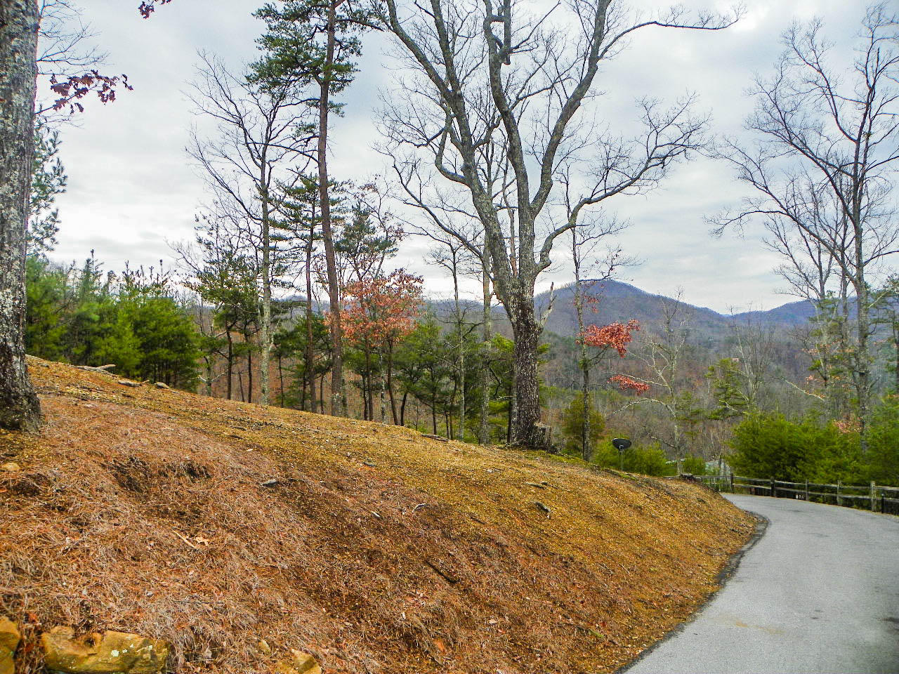 3524 Carsons Ridge Way Sevierville, TN 37862 - Photo 29 of 35 102_7792