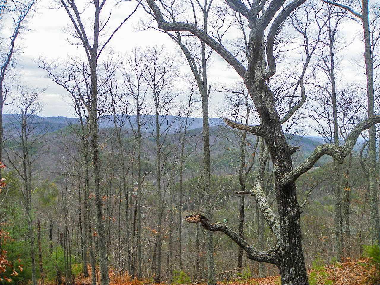 3524 Carsons Ridge Way Sevierville, TN 37862 - Photo 32 of 35 102_7773