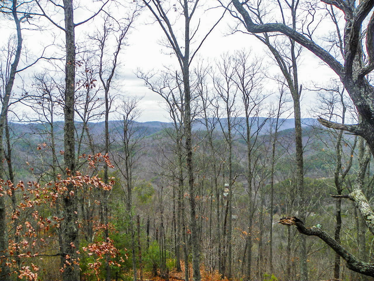 3524 Carsons Ridge Way Sevierville, TN 37862 - Photo 33 of 35 102_7774