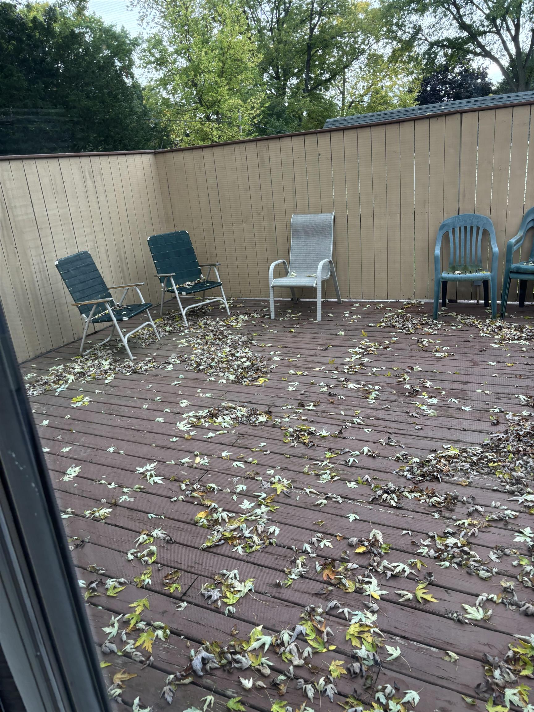 3937 Tulane Avenue Madison, WI 53714 - Photo 9 of 18