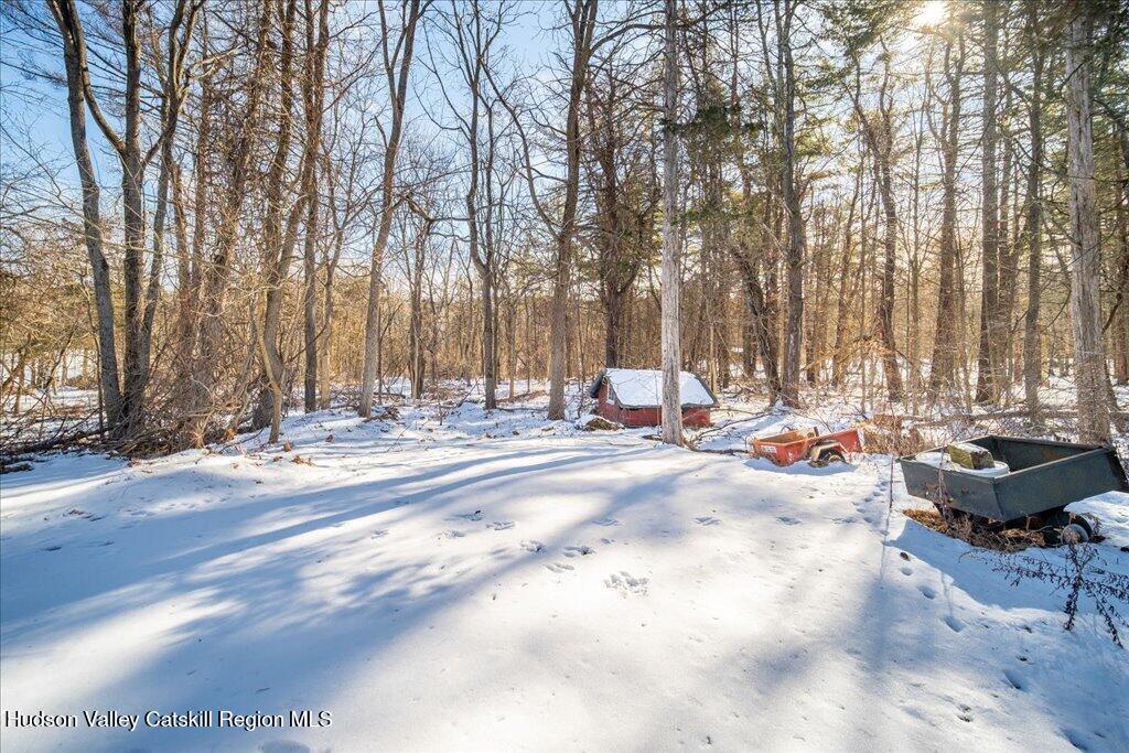 2492 Old Kings Road Catskill, NY 12414 - Photo 37 of 40 40-i (2)