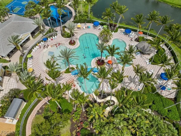 view of a bunch of flowers in back