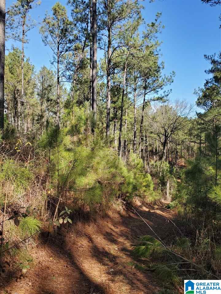 .2 Gould Road, Unit 3 Columbiana, AL 35051 - Photo 3 of 11