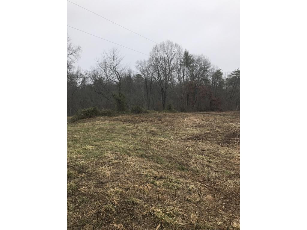 Tbd Stagecoach Road Greeneville, TN 37743 - Photo 10 of 10 Photo 10