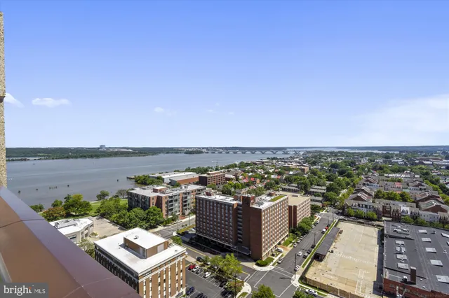 a view of a park with plants and large trees