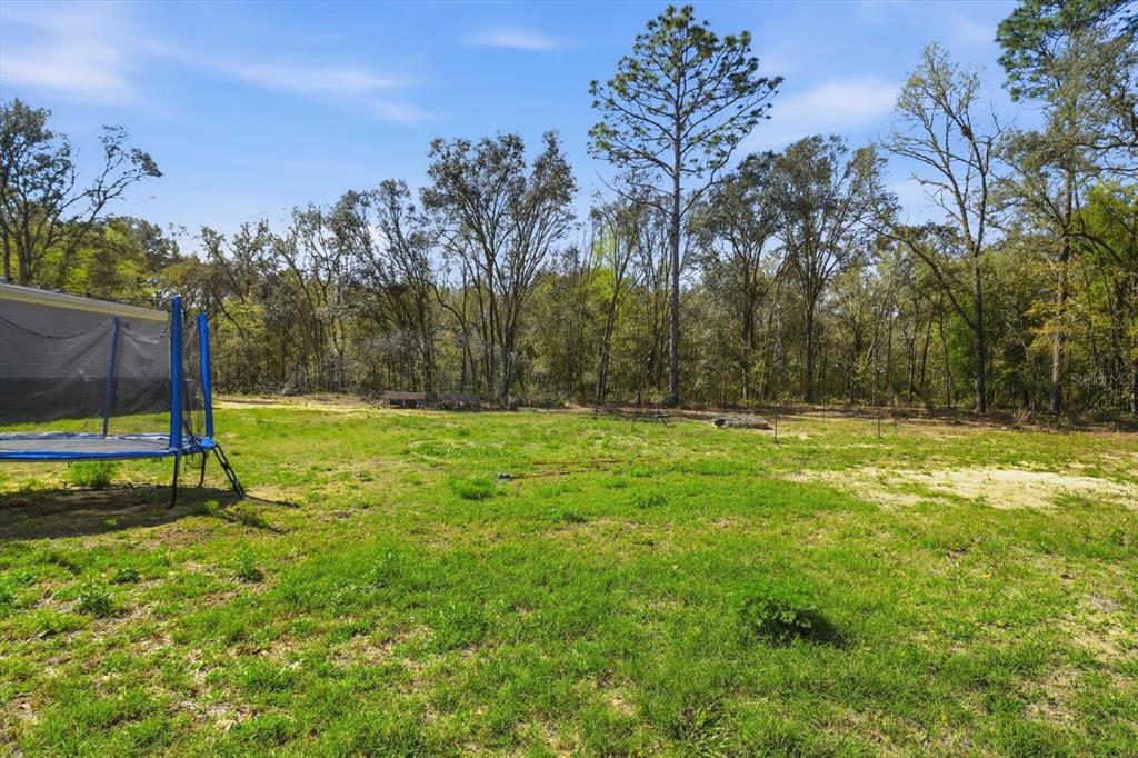 7290 Northeast 110th Avenue Bronson, FL 32621 - Photo 34 of 46 a view of backyard with green space
