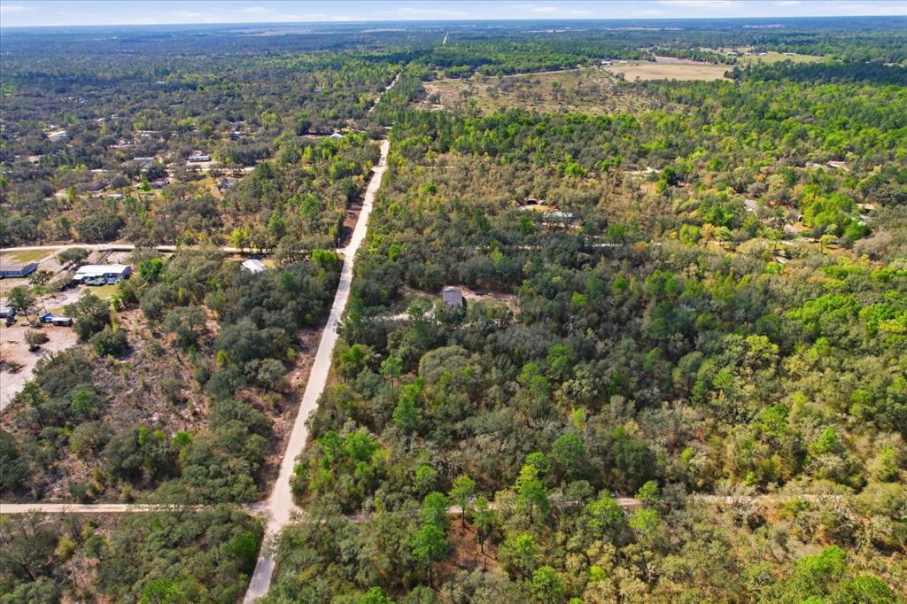 7290 Northeast 110th Avenue Bronson, FL 32621 - Photo 36 of 46 an aerial view of forest