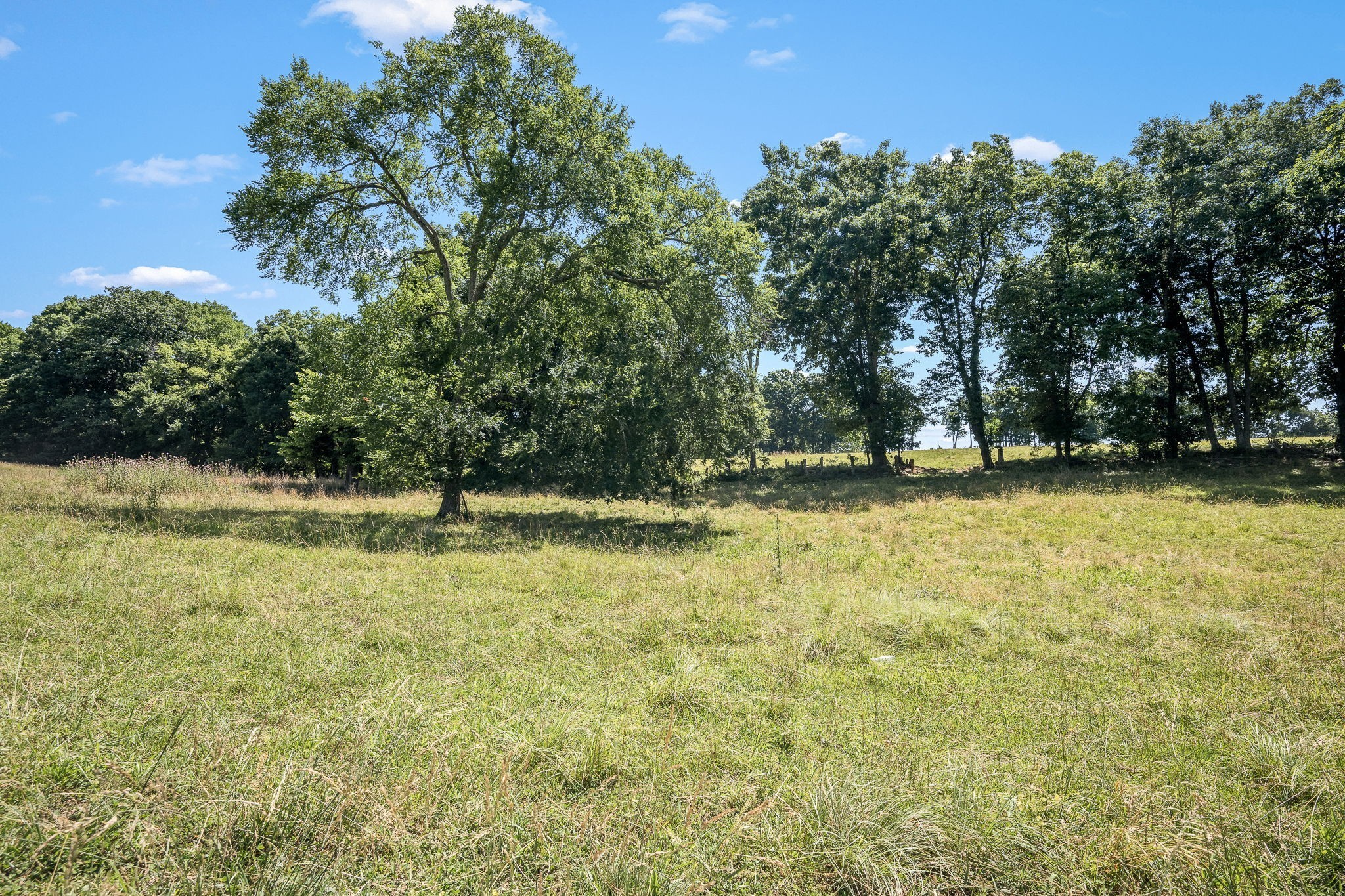 505 Philippi Road Wartrace, TN 37183 - Photo 13 of 79 Gallery Image 13