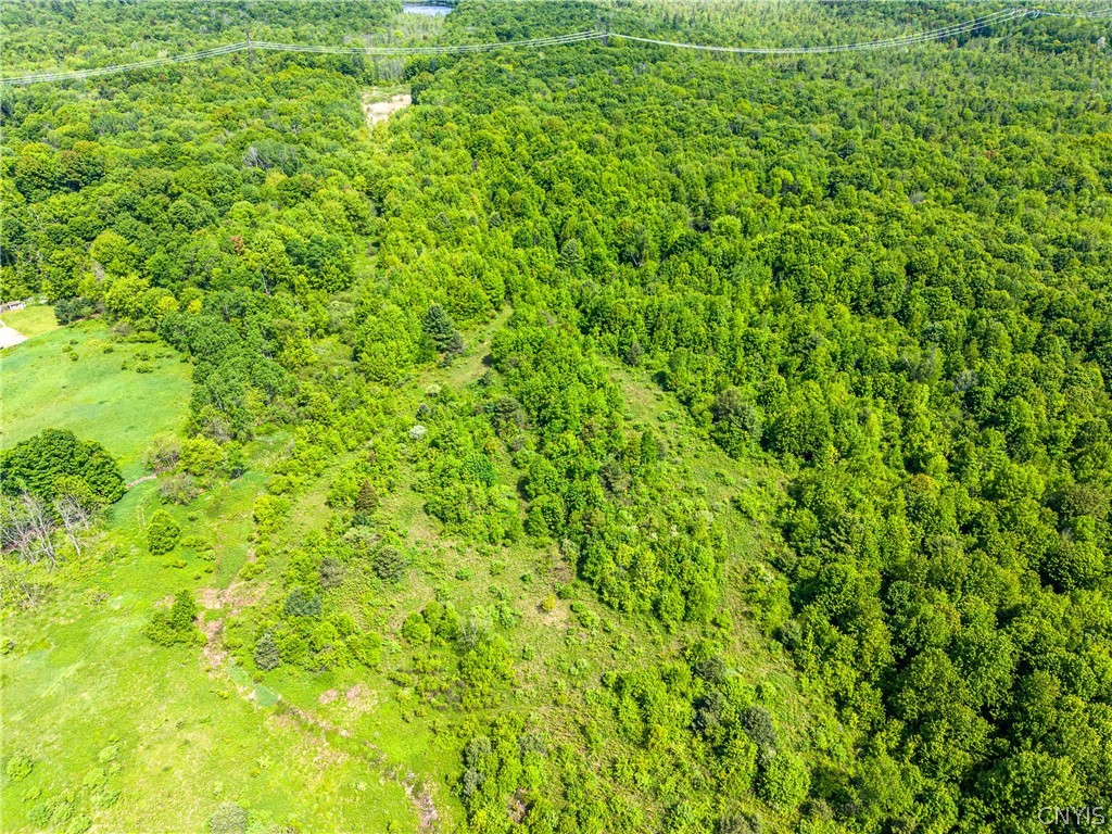 4 County Route Fulton, NY 13069 - Photo 7 of 37