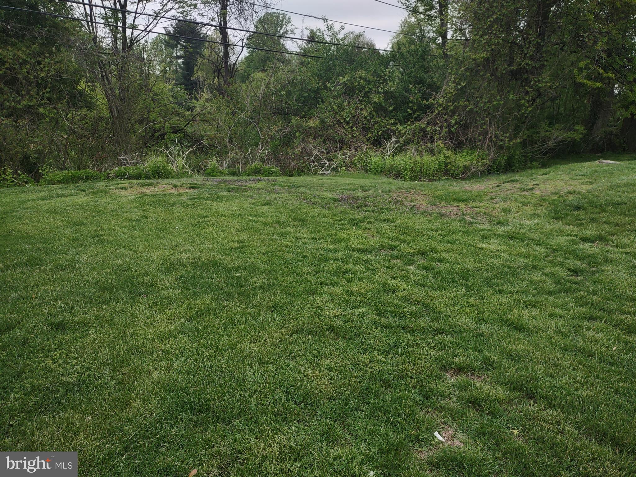 56 Ann Road Broomall, PA 19008 - Photo 4 of 4 Backyard!