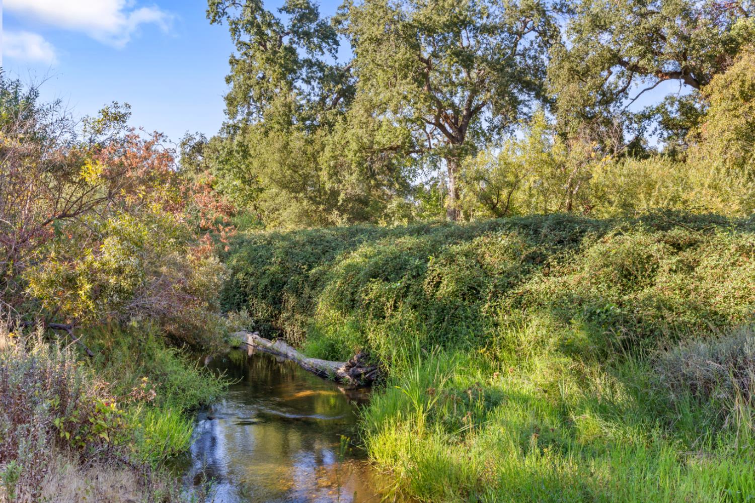 2495 Meadow Creek Road Lincoln, CA 95648 - Photo 75 of 94