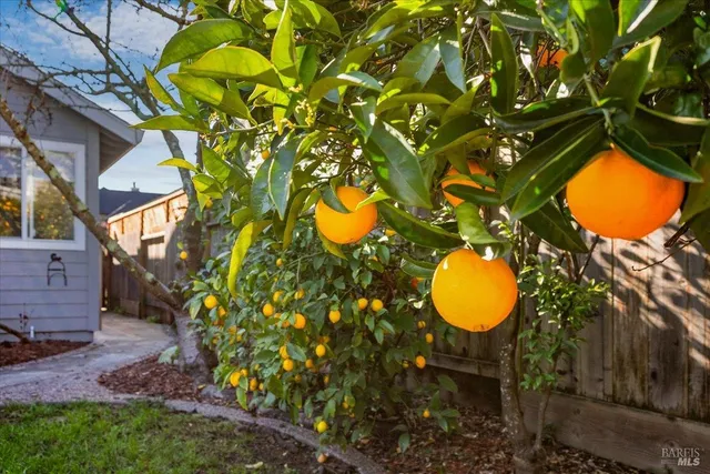 $940,000 | 1705 Walnut Creek Drive, Santa Rosa, CA 95403