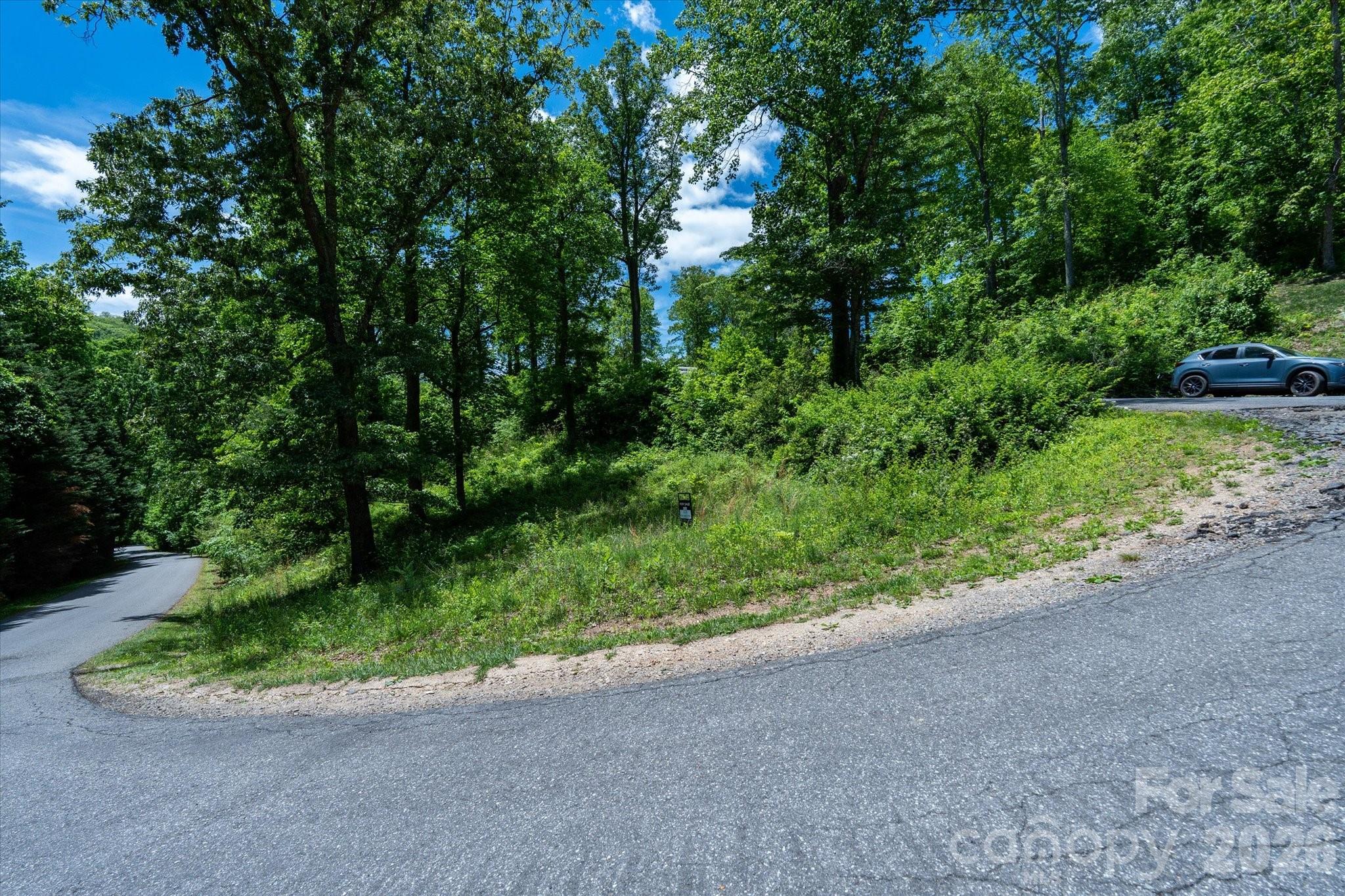 99999 Winding Ridge Road Fairview, NC 28730 - Photo 7 of 15