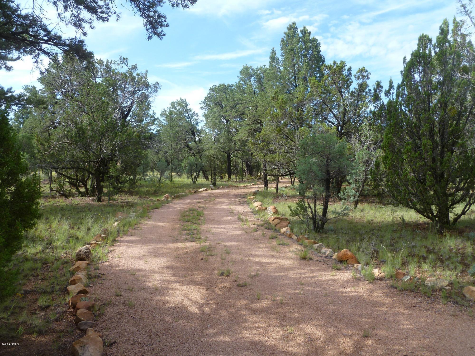 3050 Aspen Road Overgaard, AZ 85933 - Photo 20 of 23 Driveway Entrance 1