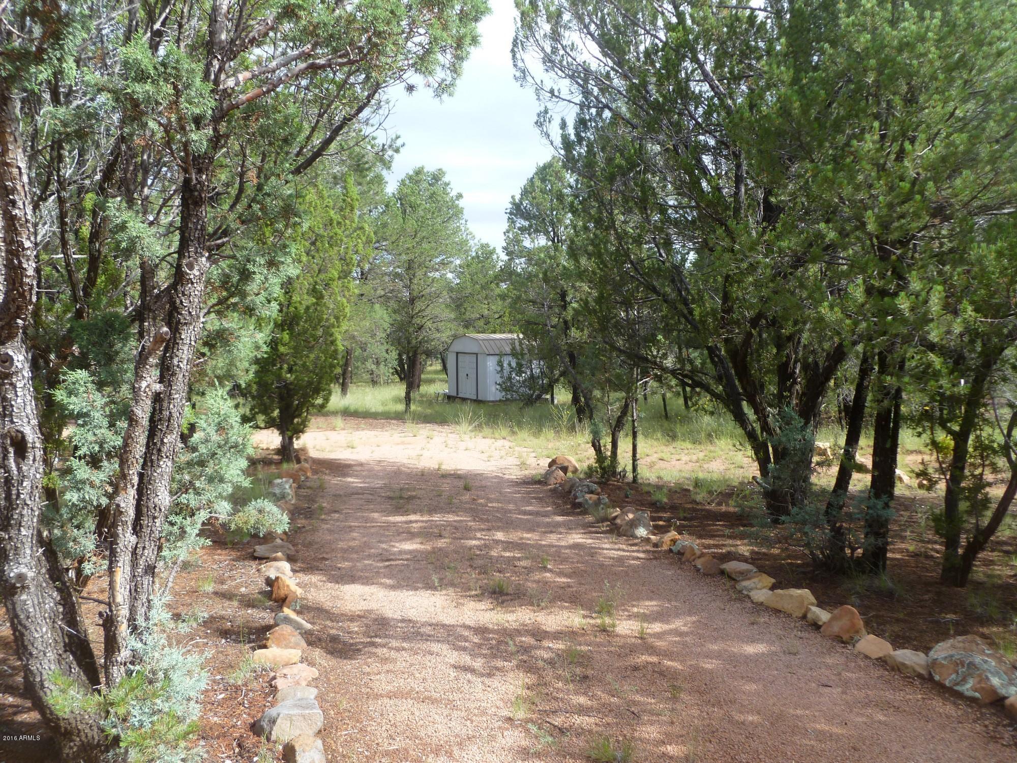 3050 Aspen Road Overgaard, AZ 85933 - Photo 21 of 23 Driveway Entrance 2