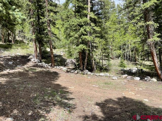 766 Rd Pitkin Co 81241 Road Ohio City, CO 81237 - Photo 13 of 18