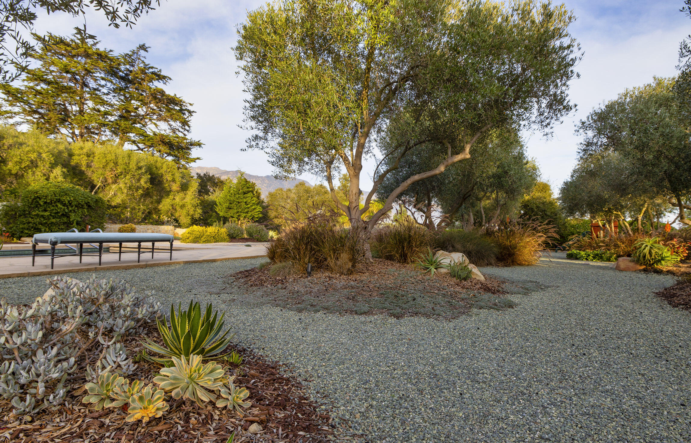 2692 Sycamore Canyon Road Montecito, CA 93108 - Photo 21 of 24 a view of a yard with plants and trees