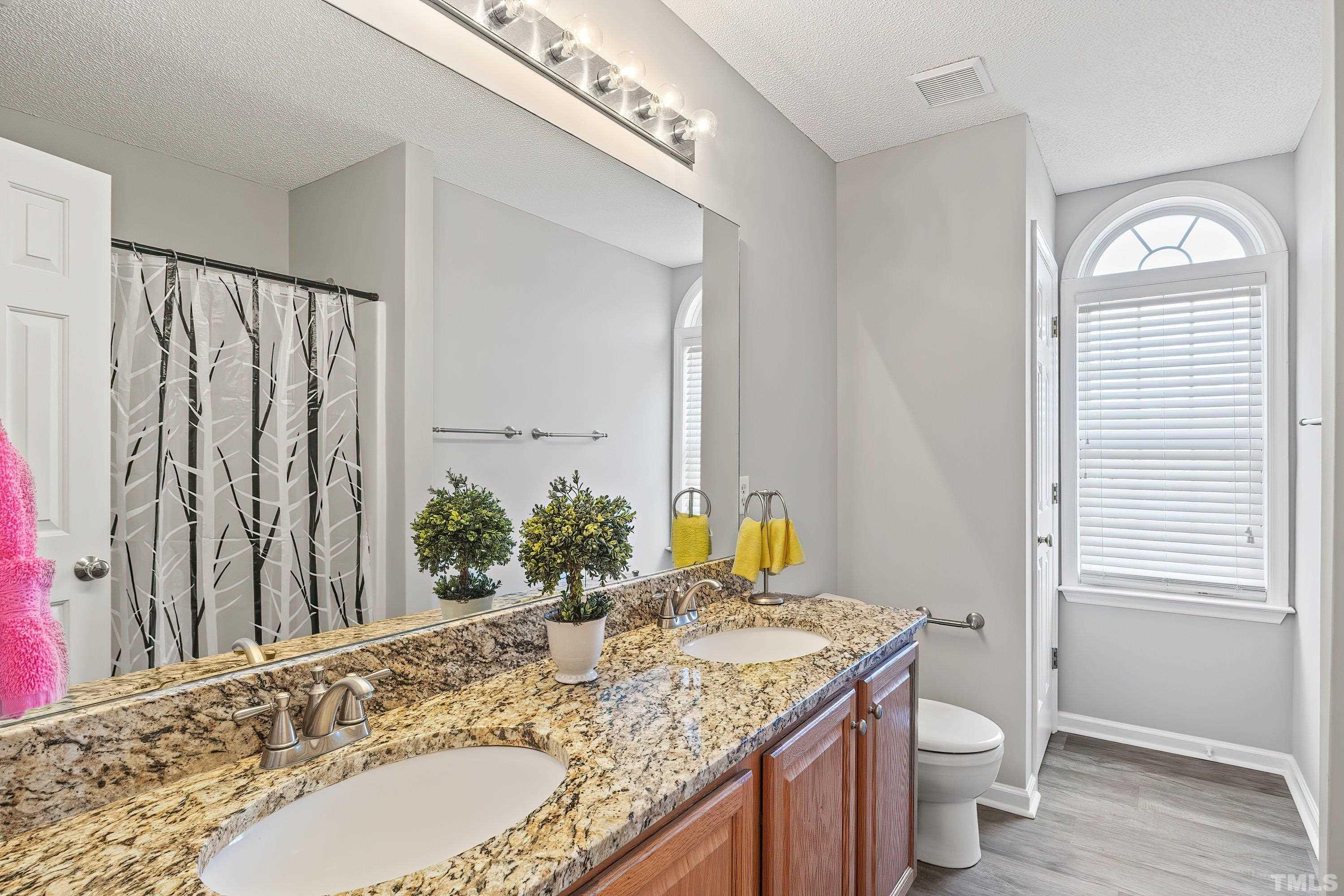 1008 Linden Crest Road Raleigh, NC 27603 - Photo 27 of 37 a bathroom with a granite countertop sink and a mirror
