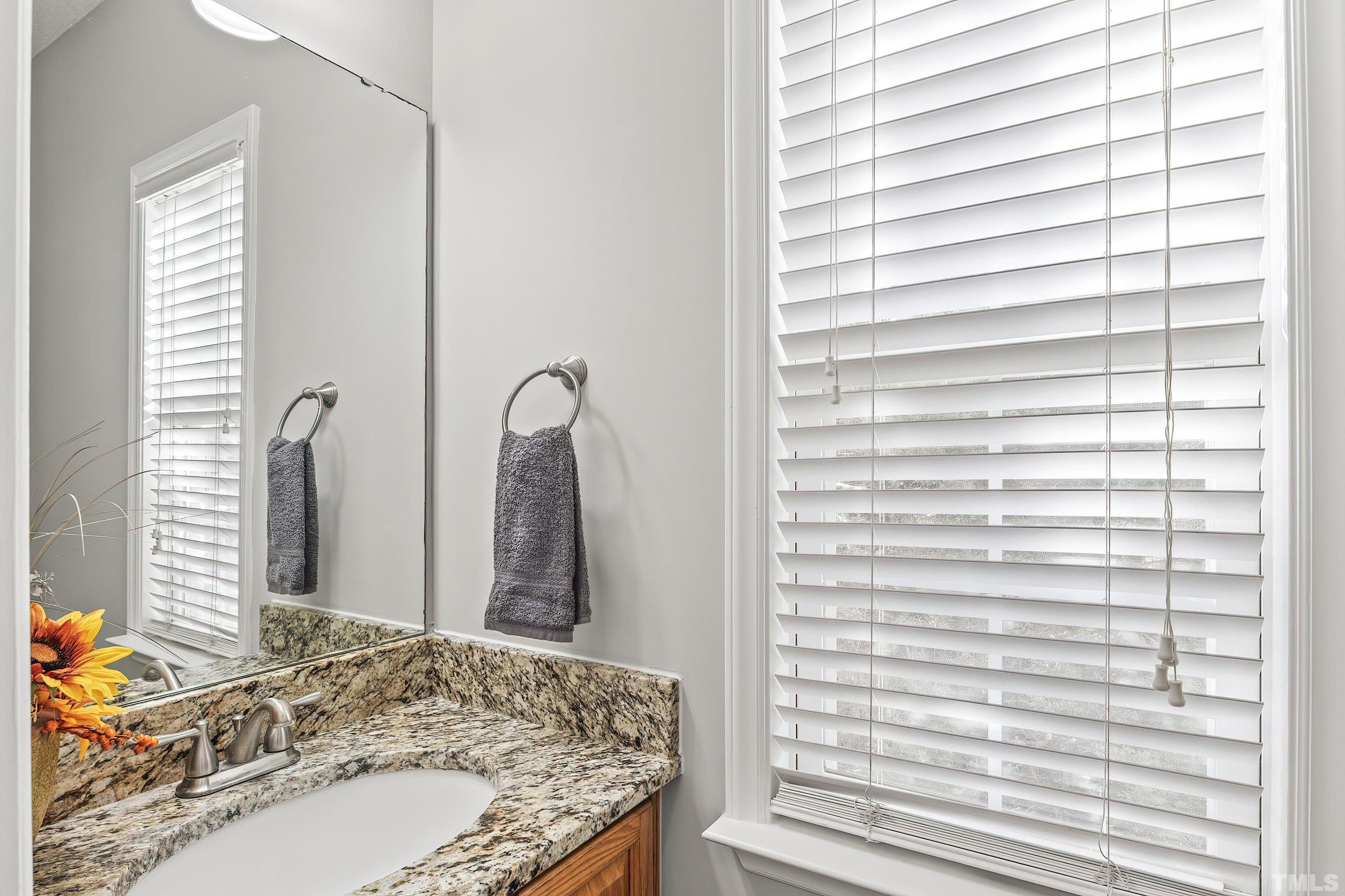1008 Linden Crest Road Raleigh, NC 27603 - Photo 28 of 37 a bathroom with a granite countertop sink and a mirror
