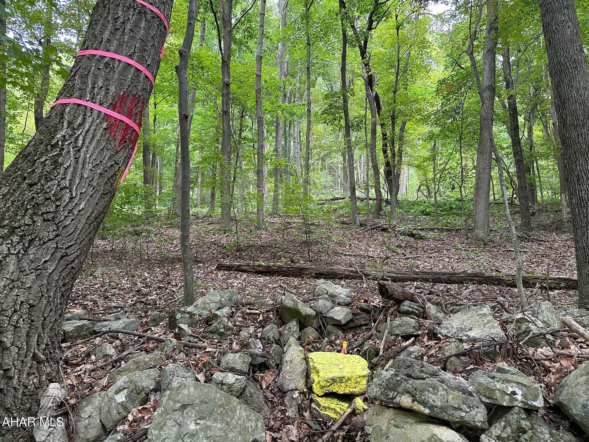 Lot #1 Louks Road Bedford, PA 15522 - Photo 7 of 11