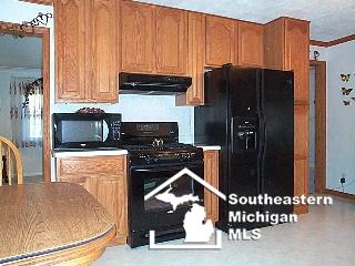 165 East Erie Road Temperance, MI 48182 - Photo 10 of 19 MORE KITCHEN AREA