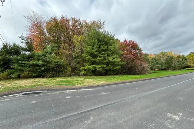 a view of a yard and a house