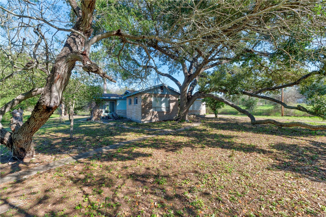 12844 Hearn Road Corpus Christi, TX 78410 - Photo 2 of 34 a view of a tree in the middle of a yard