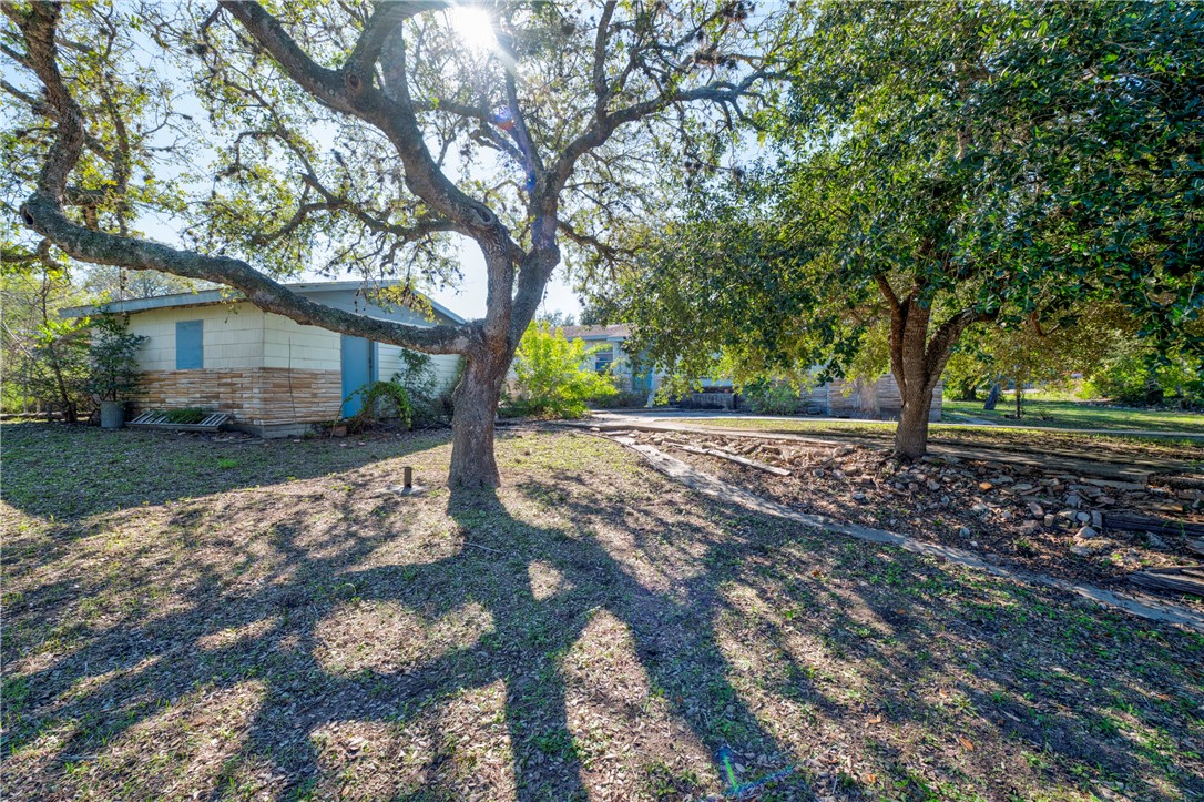 12844 Hearn Road Corpus Christi, TX 78410 - Photo 34 of 34 a view of a yard with plants and trees