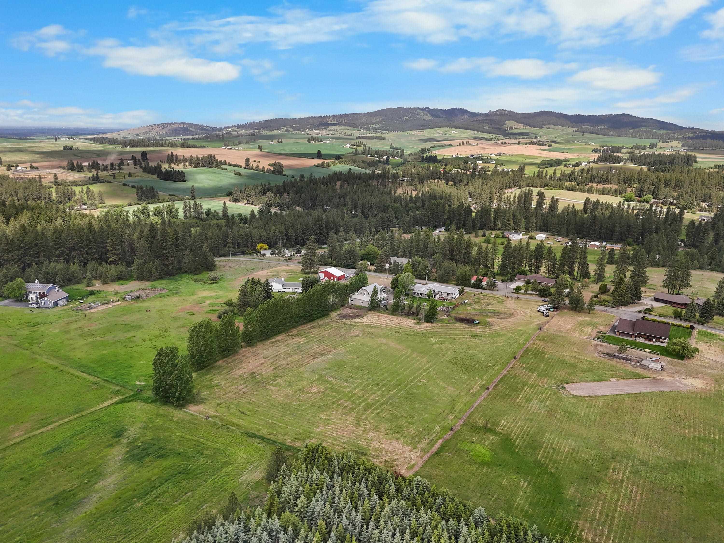 10916 East Rinear Road Valleyford, WA 99036 - Photo 48 of 49