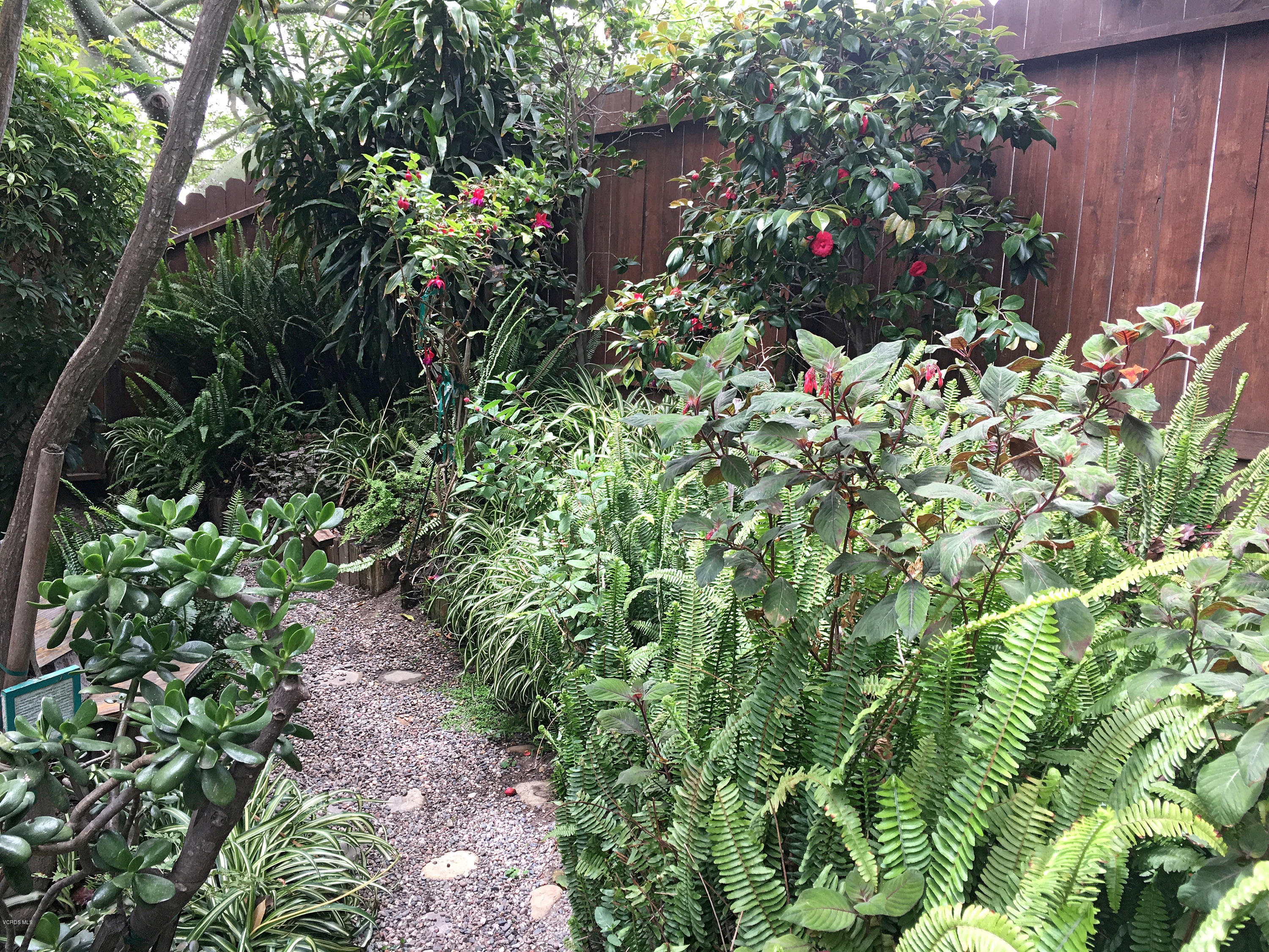 398 Day Road Ventura, CA 93003 - Photo 27 of 28 a view of a garden with plants