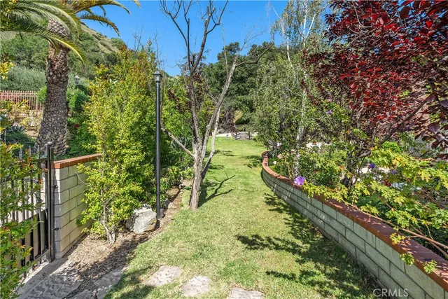 a view of a garden with plants