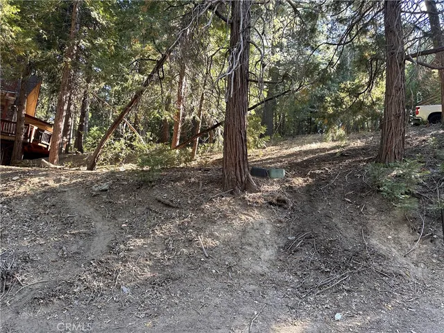 a view of a forest with trees