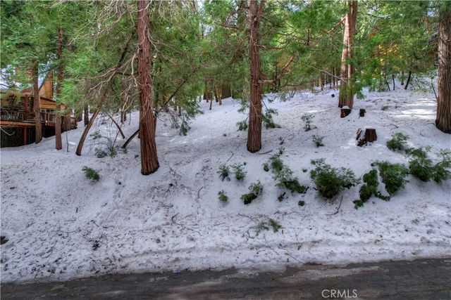 a view of a yard with plants and trees