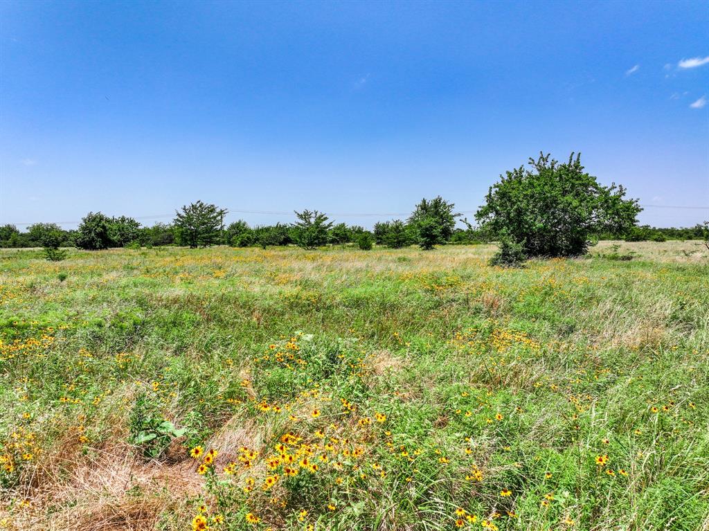 0 West Farm Road Talco, TX 75487 - Photo 11 of 37 Gallery Image 11