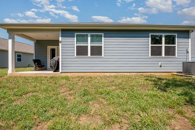 a view of a backyard with plants and large tree