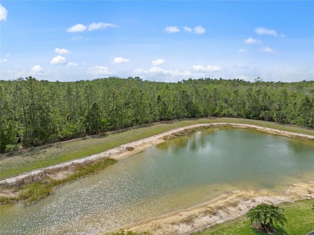 20762 Corkscrew Shores Boulevard Estero, FL 33928 - Photo 29 of 32 a view of swimming pool from a yard