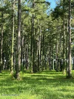 $12,000 | 147 Dawson Creek Boulevard, Arapahoe, NC 28510