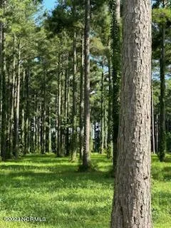 $12,000 | 147 Dawson Creek Boulevard, Arapahoe, NC 28510