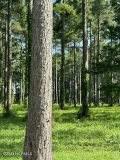 $12,000 | 147 Dawson Creek Boulevard, Arapahoe, NC 28510