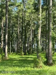 $12,000 | 147 Dawson Creek Boulevard, Arapahoe, NC 28510