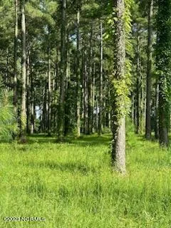 $12,000 | 147 Dawson Creek Boulevard, Arapahoe, NC 28510